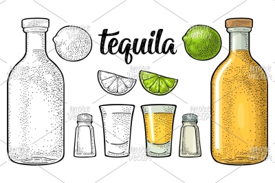 Glass, bottle, salt and lime. Vintage color vector engraving