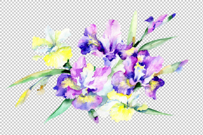 Purple bouquet flowers PNG watercolor set