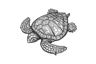 Sea Turtle  Tattoo Illustration