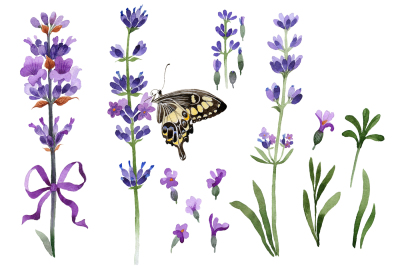 Violet fragrant lavender PNG watercolor set