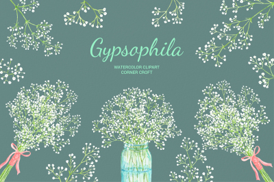 Watercolor Gypsophila Clipart