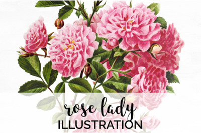 Rose Pink Clipart