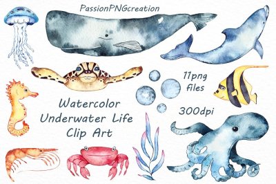 Watercolor Underwater Life Clipart