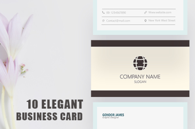 Professional Company Business Card Template Collection