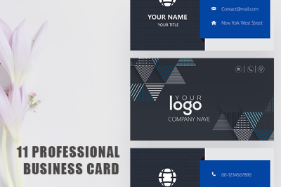 Professional Business Cards Template Collection