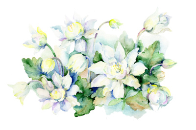 Aquarelle white bouquet PNG watercolor set