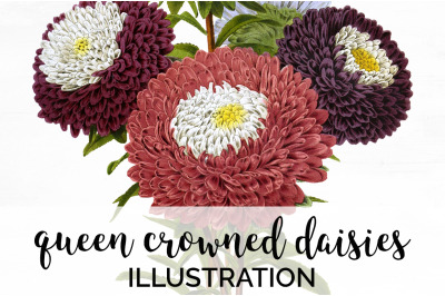 Daisies Clipart