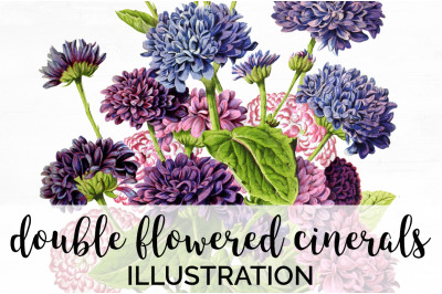 Flower Bouquet Clipart