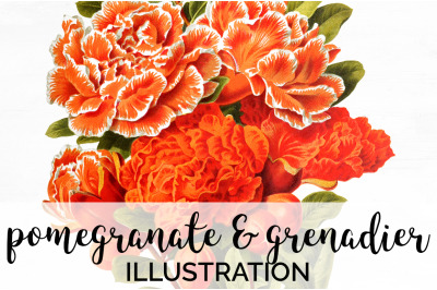 Orange Flowers Clipart