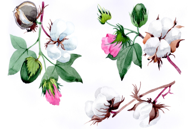 Cotton plant flower PNG watercolor set