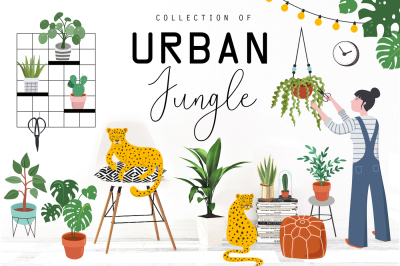 Urban Jungle collection