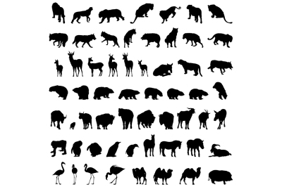 animal set