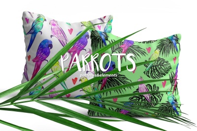 Parrot`s Love
