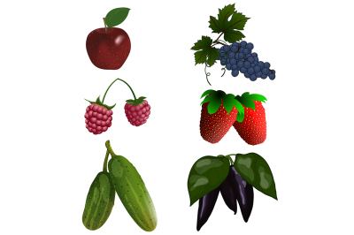 Set of color fruit and vegetables