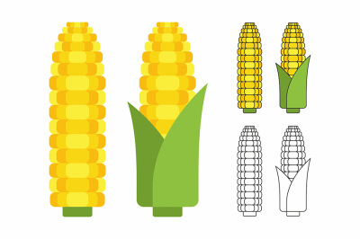 Corn cobs