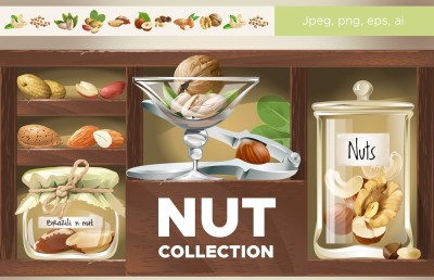 Collection of nuts. Vector illustration