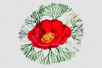 Bloom red roses watercolor PNG set