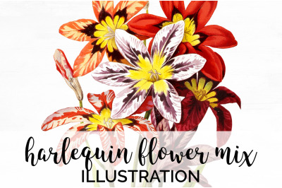 Flower Clipart