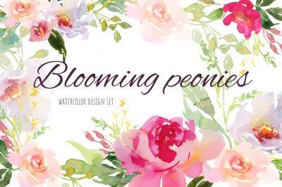 Blooming peonies