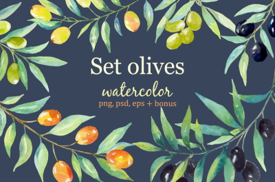 Olive set. Watercolor collection.