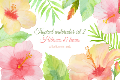 Tropical watercolor set 2. Hibiscus.