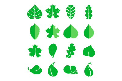 Different leaf set. Vector icons. Design eco elements isolate on white