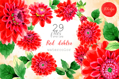 Beautiful red dahlia PNG watercolor set