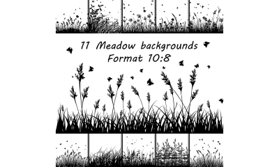 Set of Meadow backgrounds