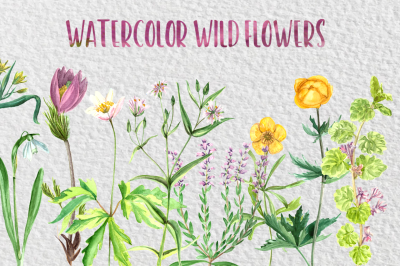 Watercolor Wild Flowers Collection
