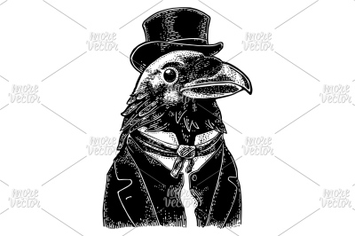 Raven gentlemen dressed in suit, tie and rectangular cylinder. Vintage
