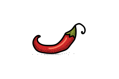 Chili Pepper hand drawn vector illustration and seamless pattern