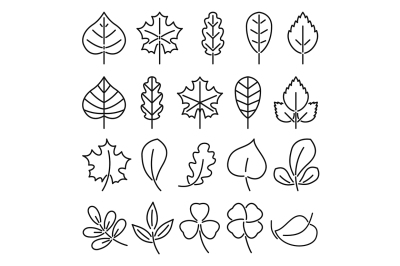 Leafs icon set. Linear vector illustration isolate on white background