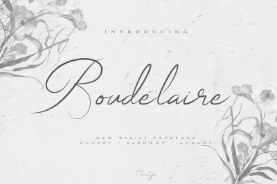 Boudelaire