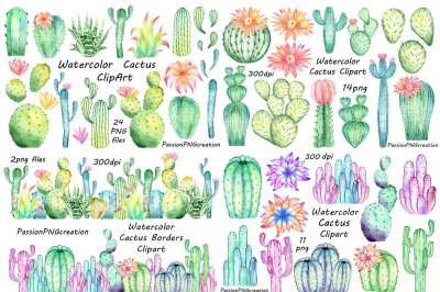 Big set of Watercolor Cactus Clipart