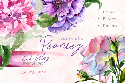 Elegant peony PNG watercolor flower set