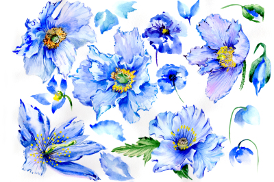 Gently blue poppies PNG watercolor set