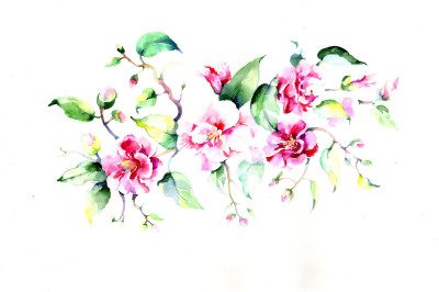 Bouquet pink roses &nbsp;PNG watercolor flowers set