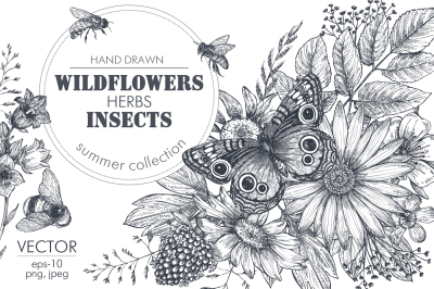 Vector insects and wildflowers set
