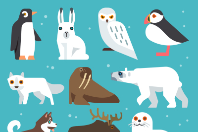 Polar animals flat icons