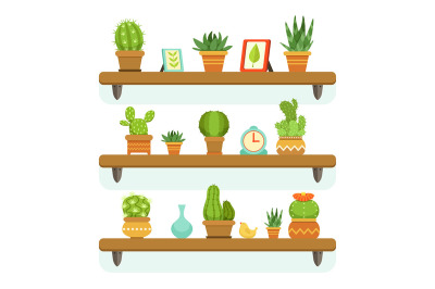  Cactuses in pots stand on the shelves