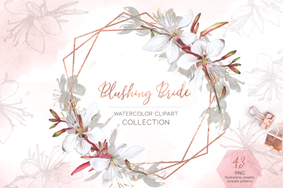 Blushing Bride - Watercolor Flowers