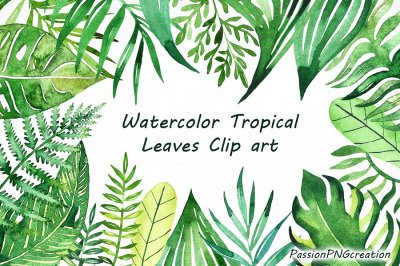 Watercolor Tropical Leaves Clip art