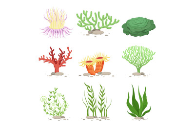 Vector set of underwater plants