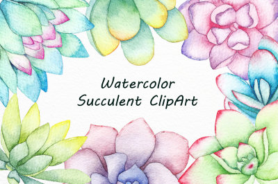 Watercolor Succulent Clipart