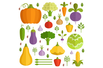 Different vegetables in cartoon style