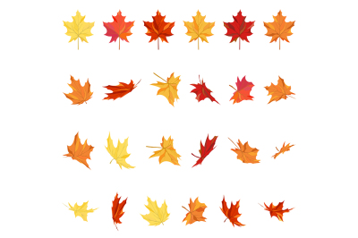 Maple Leaves Set