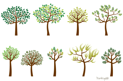 Green tree clipart, Leaf Trees clip art set, Wedding, Summer, Family tree