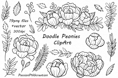 Hand drawn Doodle Peonies Clipart