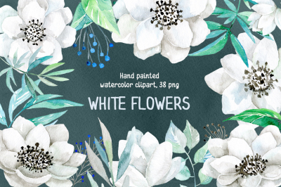 Watercolor white flowers 38 png