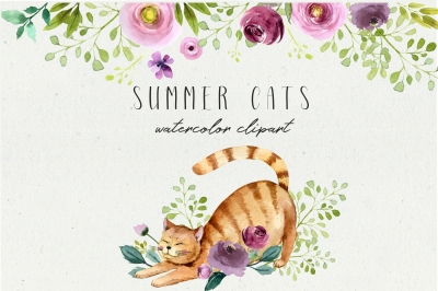Summer cats - watercolor clipart